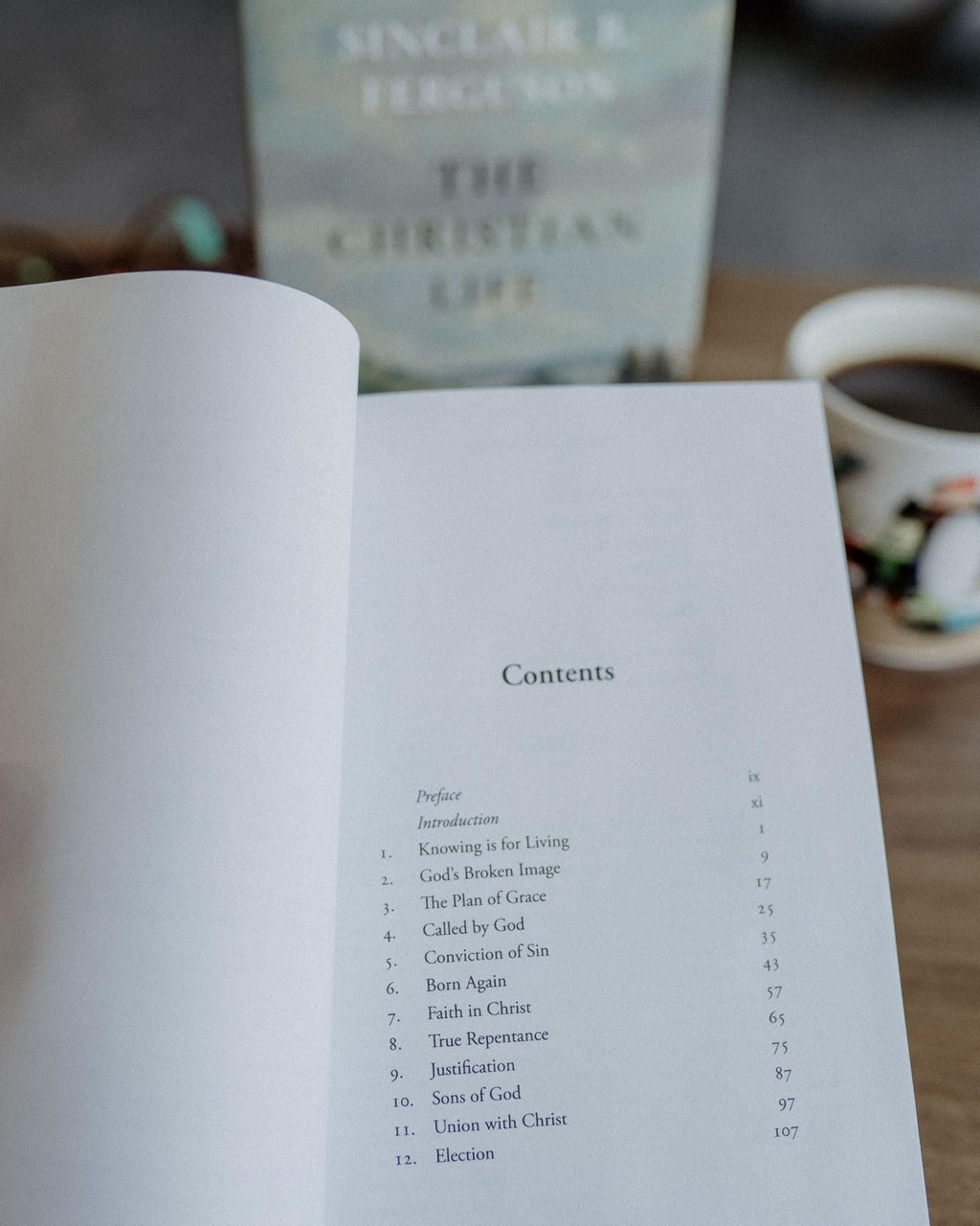 The Christian Life: A Doctrinal Introduction
