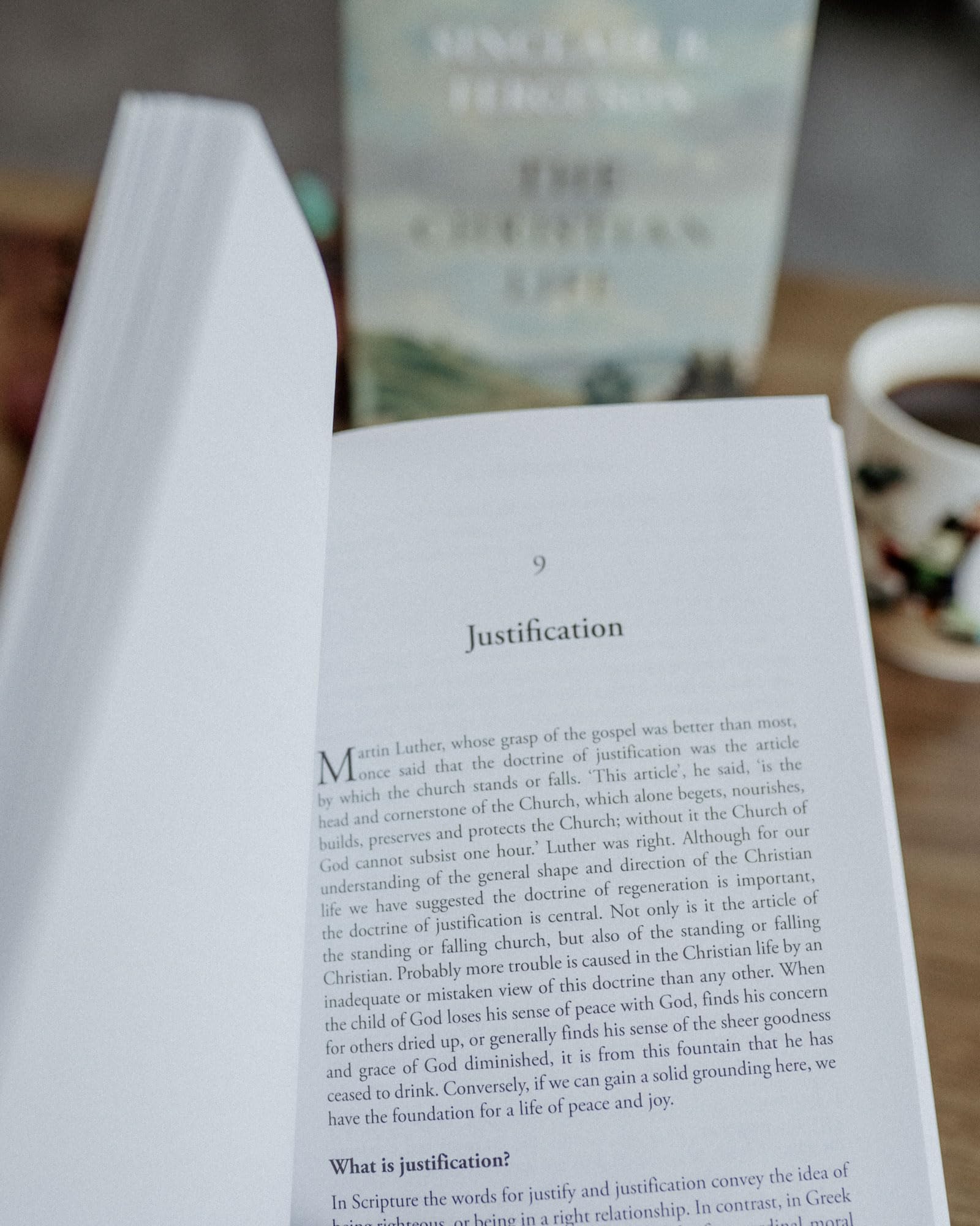The Christian Life: A Doctrinal Introduction